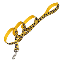 Coastal Ribbon Dog Leash Yellow Buttercup 1" x 6&lsquo;  I006528